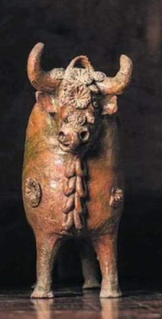 torito2