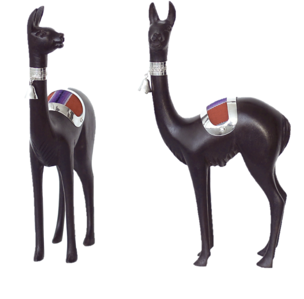 Vicuña con Manta Andina